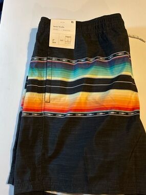 Men's Black Swim Trunks with Rainbow Stripe